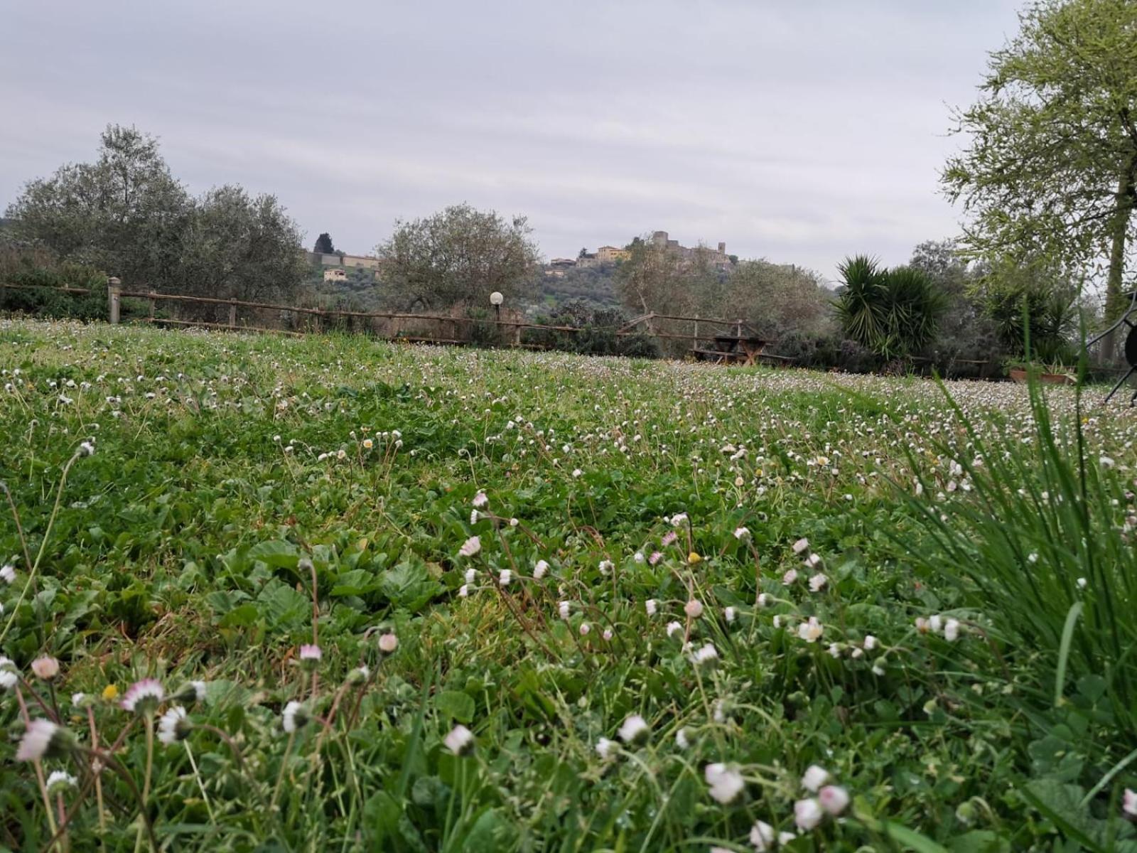 8380 Agriturismo Il Saragiolo Manciano Zewnętrze zdjęcie